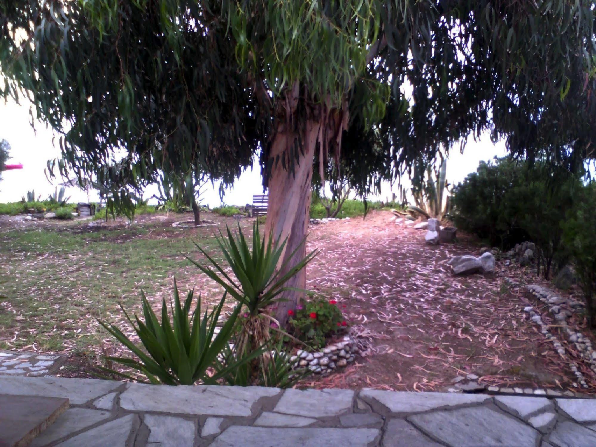 Villa Agrelia House à Ouranoupoli Extérieur photo